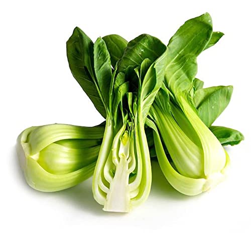 QAUZUY GARDEN Bok Choy Pak Choi ShangHaiQing White Cabbage Seeds 2000 Non-GMO Seeds Delicious Nutritious Vegetables for Garden Home Easy and Fast Growing - Thumbnail 5