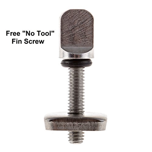 image for Santa Barbara Surfing SBS 8