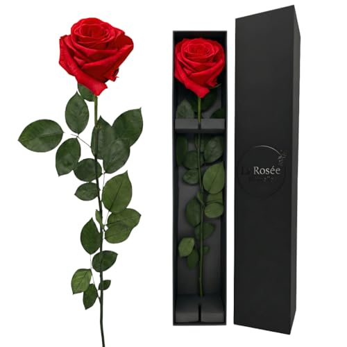 LA ROSEE ETERNELLE – Duftende ewige Rose mit langem Stiel – Natürlich konservierte & haltbare echte Rose aus Ecuador – Geschenkbox für sie, Freundin oder Mutter – Farbe: Red One
