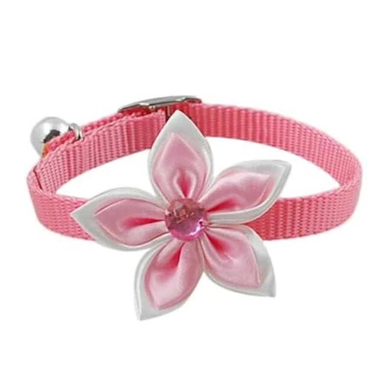 Dog Trust Pack of 1 pcs Collar Flower Deisgn Interactive Collar for Your Kitten Pupies Dog Size 10 MM Random Color (B0CW3DZVMG) Amazon Price History, Amazon Price Tracker