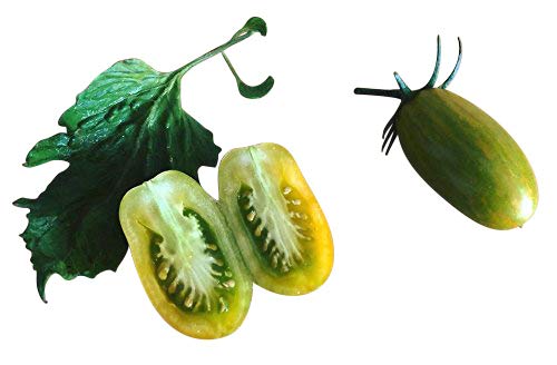 Tomate 'Lucky Tiger' gestreift 10 Samen