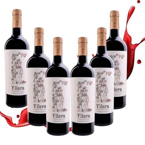 Yllera Vendimia Seleccionada 2015 – Vino tinto reserva V.T. Castilla y León | Tempranillo 100 % | 15 % vol | 24 meses roble francés y americano | Cuerpo y elegancia - 6 Botellas 75cl