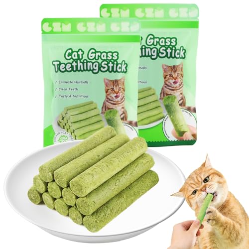 FePen Bastoncini di Erba Gatta, 12 Pcs Stick Gatto Snack, Snack Liofilizzato con Erba Gatta per la Pulizia dei Denti, Promuovere l'assorbimento dei Nutrienti e Migliorare la Digestione
