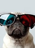 Rectangle Refrigerator Magnet - Cute Pug Puppy Dog Wearing Big Sunglasses
