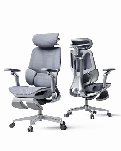 My Honest Review: ergo chair – 2026 Guide My Honest Review: ergo chair – 2026 Guide