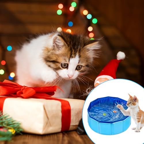 Piriuuo Schwimmbecken für Katzen, 30 x 11 cm Katzenplanschbecken Faltbarer Haustierpool aus PVC, rutschfest Verschleißfest Katzenbadewanne Sommer Schwimmbad Schwimmbecken Für Hund Katze
