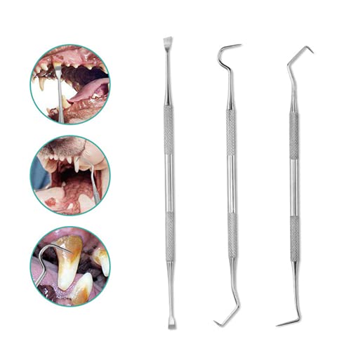 Symphonyw Calculus Remover for Dog 3pcs Stainless Steel Tarter Remover Oral Tool Pet Dog Cat Dental Teeth Cleaning Tools (3PCS) - Image 2