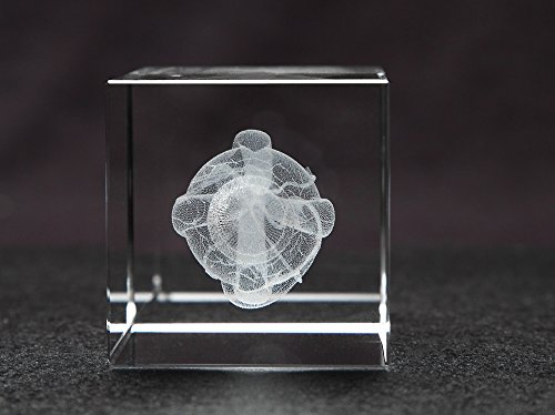 Eye 3D Laser 1Lb Crystal, Anatomy, Ophthalmology #TOP3