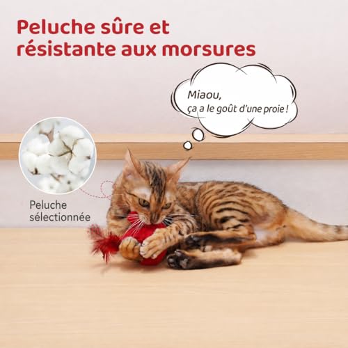 Jouet interactif pour chat avec SilverVine herbe à chat et sons d'oiseaux d'intérieur