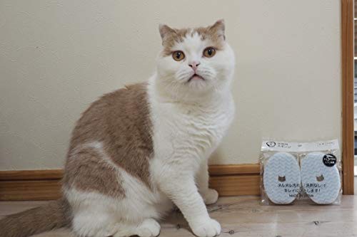 犬猫のヌルヌルする皿はクエン酸で洗おう!3つの方法と食器の洗い方も