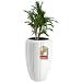 Produktbild KADAX Blumentopf aus Kunststoff,  39cm, 5 Farben, Moderne Blumenvase, Pflanzkübel, Pflanztöpfe, Pflanzentopf, Kunststoff-Blumentöpfe, runder Blumenkübel (H: 62cm, Weiß)