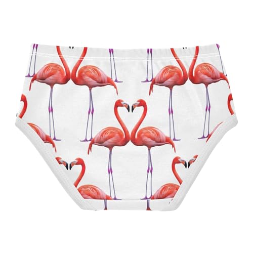 Pink Flamingos Hearts White Toddlers Underwear Floral 2t Cotton Panties for Girl Personalized Kids Undies Briefs2