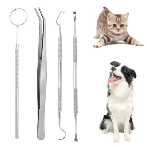 Kit de limpieza de dientes para perros, herramientas para el cuid...