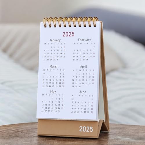 2025 Desk Calendar - Standing Flip 2025 Desktop Calendar with Thick Paper Size : 6 x 4 inch for Office,School,Family (multicolor) 3 41sT6NbJ1FL
