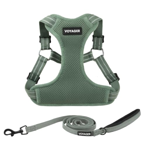 Image of Best Pet Supplies Voyager Adjustable Step-in Flex Breathable Mesh Dog Harness for Small Medium Large Dogs Leash Set (Moss Green), XS