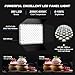 Imagen de Soonpho 2-Pack Iluminación de Panel LED Luz Video y Soporte Kit Barn Door 2800-6500K Regulable 20W de luz de iluminación de Estudio de fotografía con 1