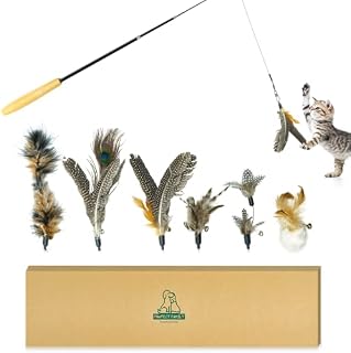 Pawfect Family® Interactive Cat Toy Set with Retractable Wooden Wand, Scalable Fishing Rod with 6 Feather toys for Kitten and Adult cats, Teaser Stick with 6 Refills for both indoor and outdoor cats