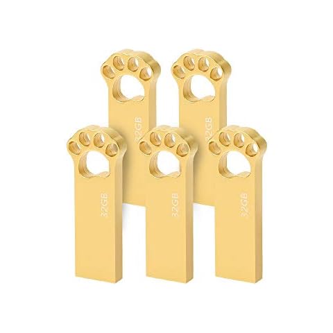 USB Stick 32GB 5 Stück Lustig Speicherstick 32 GB Slim USB 2.0 Flash Drive Wasserfest Pen Drive 32GB Cover