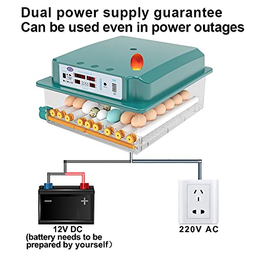 New Vida Incubator Chicken Fully Automatic Incubator for Eggs Bird Quail Incubator Temperature Control Incubator 48-64… – Bild 8