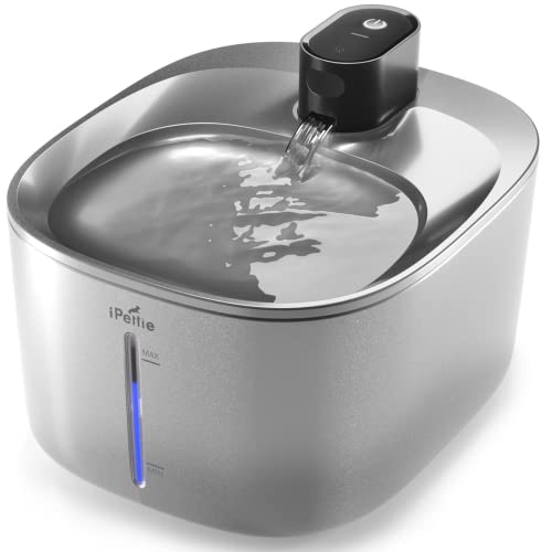 iPettie Runway Stainless Steel Cat Water Fountain, 1.1 Gal/4.0L Large Capacity, 5-Stage Water Filter