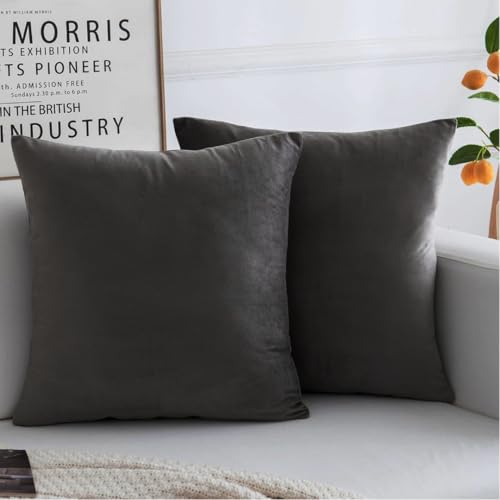 Image of Amazon Brand - Umi Velvet Decorative Cushion Cover 24x24 Inch - Set of 2, Soft Solid Square Throw Pillow Covers for Sofa, Living Room or Home Decor - 60x60 cm in Grey Color
