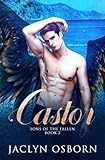 Castor (Sons of the Fallen)