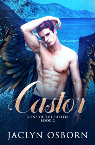 Castor (Sons of the Fallen)
