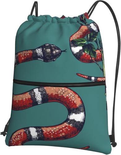 [ESASAV] wr ibvTbN TbNpbN ̑ В ̑ w ւ 傫 jZbNX