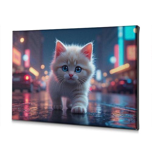 Impression sur toile chaton premium aux yeux bleus avec cadre minimaliste 20x30 cm
