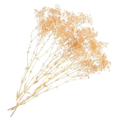 Ramo de flores secas Babysbreath blancas preservadas para decoración
