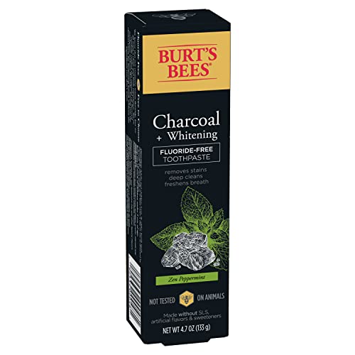Experience Whiter Teeth and Fresher Breath with Burt's Bees Charcoal