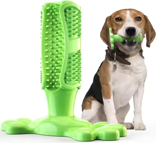 Image of Chew Toy for Dog Toothbrush Stick Dog Toys for Aggressive Chewers Interactive Toys Treats Tough Toy to Keep Them Busy Chew for Small Dogs (Green, L)