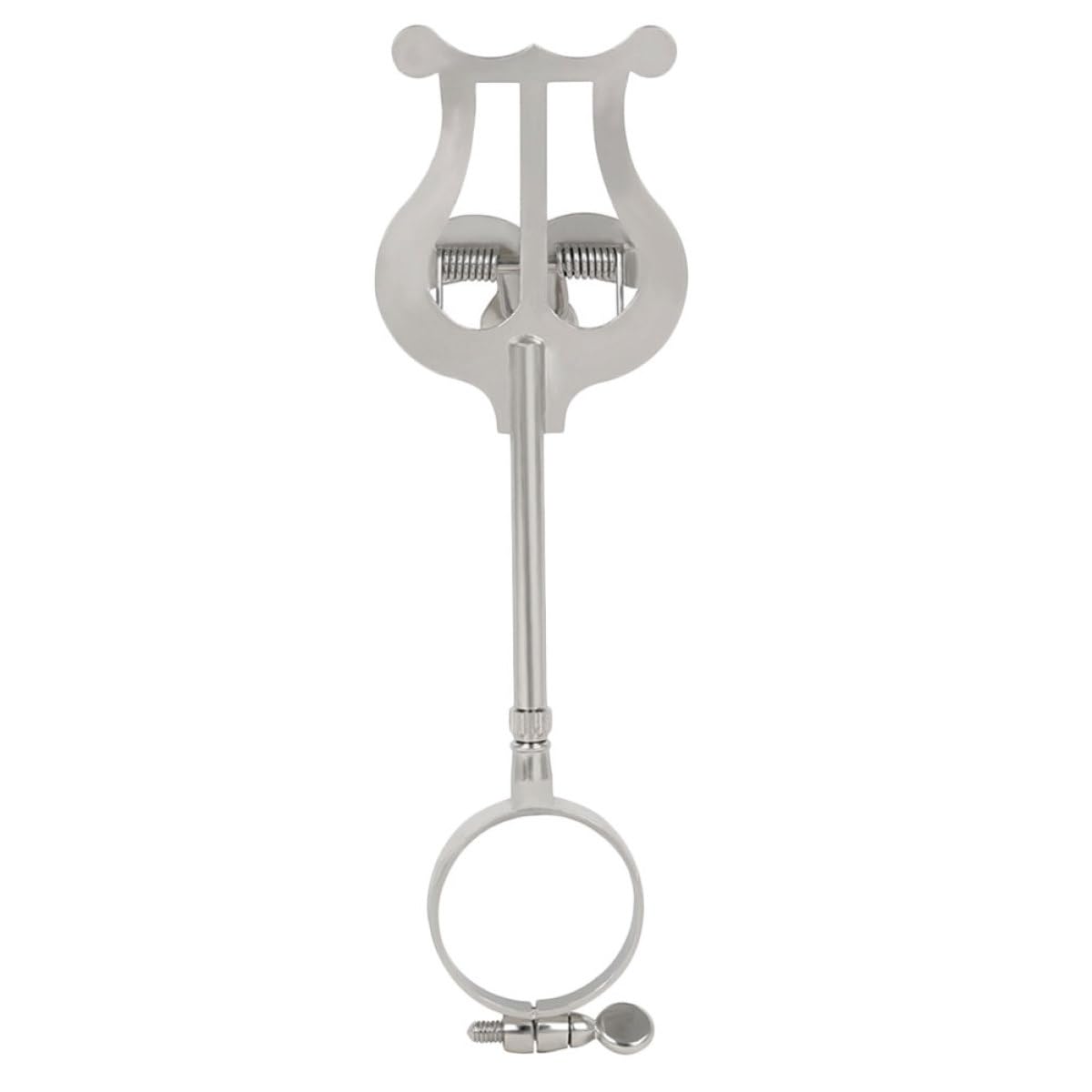 TOYANDONA Porta Spartiti Musicale per Clarinetto, Clip Regolabile in Ferro Forte Presa, Accessorio Pratico per Strumenti Musicali