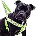 "FRIENDLY" Green Color Coded Non-pull Dog Harness (Known As Friendly) PREVENTS Accidents By Warning Others of Your Dog in Advance!