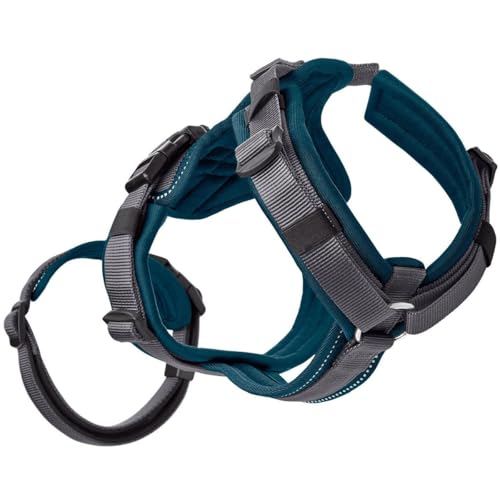 HUNTER Sicherheitsgeschirr Maldon Farbe Petrol/grau, Größe S-M