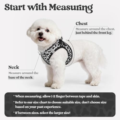 Image of rabbitgoo Dog Harness Small Sized and Leash Set, Step-in Puppy Pet Vest