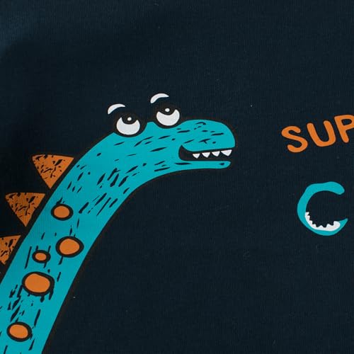 Toddler Boys Long Sleeve Shirts Dinosaur Shirts for Boys Toddler Boy Fall Raglan Cotton Sweatshirt Tee Shirt for 1-6 Years4