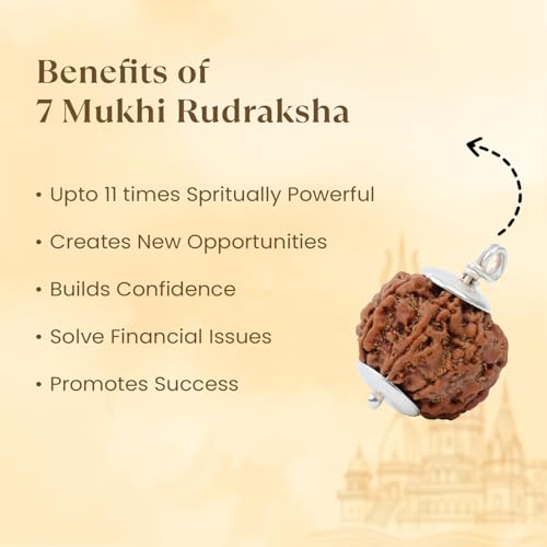Image of Astrotalk Nepal Origin 7 Mukhi Rudraksha | Attract Wealth & Prosperity | Financial Stability, Peace & Spiritual Growth | Sacred Rudraksha Bead for Women & Men