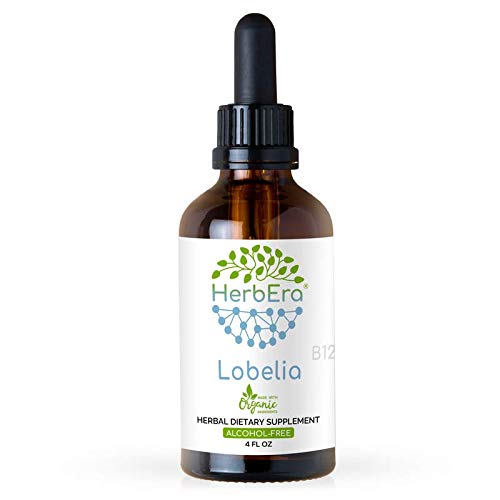 HerbEra Lobelia B120 Alcohol-Free Herbal Extract Tincture, Responsibly farmed (Ban Bian Lian, Lobelia spp.) (4 fl oz)