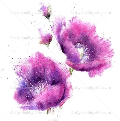 Furniture Wood Decal Image Transfer Vintage Antique Labels Watercolour Poppy DIY (Decal, A6-4.1 x 5.8 Inches)