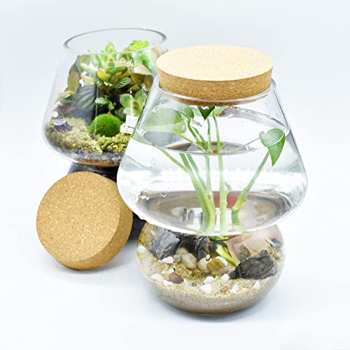 Glass Terrarium, Plant Propagation Station Canning Jars Candy Vase With Lid For Plants Live Houseplants Storage Moss Succulent Live Snail Container Desktop Decor Diy Ecosystem Gifts | No Plant #TOP4