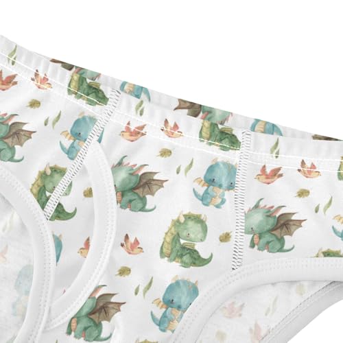 Boys' Exclusive Briefs Toddler Underwear 95% Combed Cotton Boxerbriefs 2T Cartoon Dinosaur Pattern 24