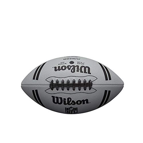 Image of WILSON NFL Recreational Footballs