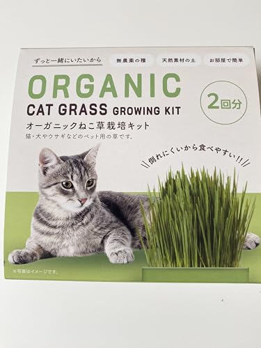 はなみどり オーガニック ねこ草 無農薬種子 栽培キット 2個