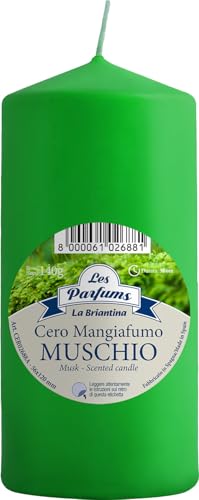 La Briantina Candela Profumata Mangiafumo, Durata 75 Ore, 13x6 cm, Verde, Profumo di Muschio