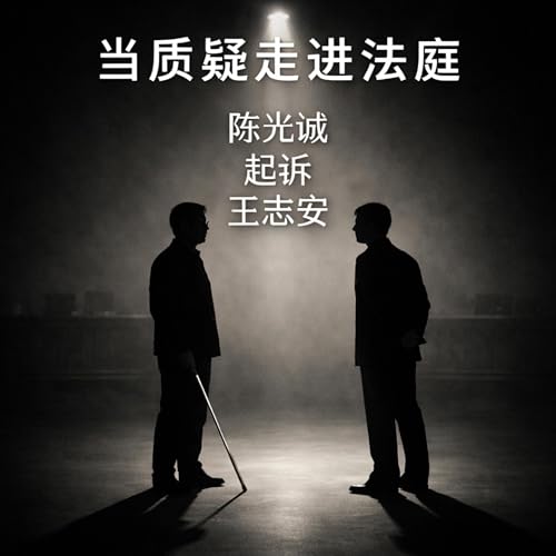 当质疑走进法庭：陈光诚起诉王志安