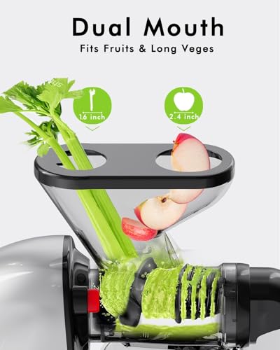 Image of SiFENE Slow Masticating Cold Press Juicer Machines for Fruit Vegetable, Juice Yield Maker Extractor with Dual Mouth, Quiet Motor Anti-Clog System, Easy to Clean, Non-BPA (Gray)