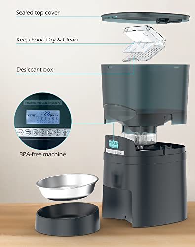 Automatic Cat Feeder, Honeyguaridan 6.5L Pet Feeder For Cats And Dogs Dry Food Dispenser With Desiccant Bag, Stainless Steel Bowl, 6 Meals Portion Control, Dual Power Supply &10S Voice Recorder #TOP1