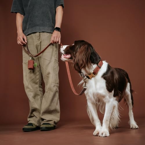 Image of Didog PU Leather Dog Leash for Medium Dogs, 5ft Soft Padded Handle, Brown