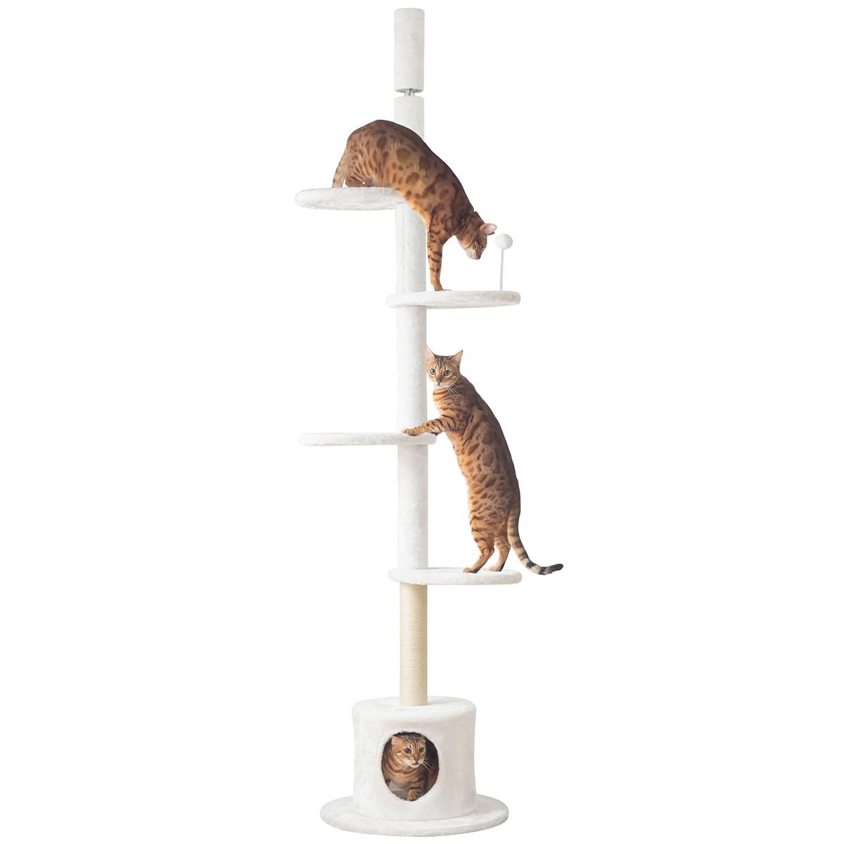 Amazon | ぼん家具 キャットタワー 突っ張り 据え置き 猫 爪とぎ 麻紐